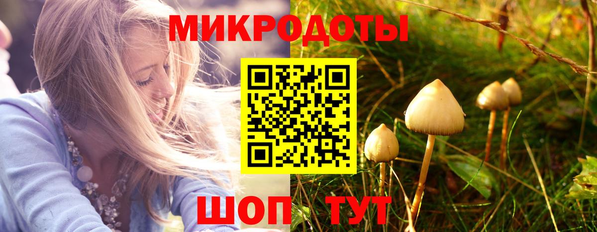 Рубцовск  Псилоцибиновые грибы Psilocybe  сколько стоит  Вход с VPN 